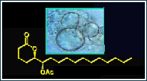 Slow Release for pheromones